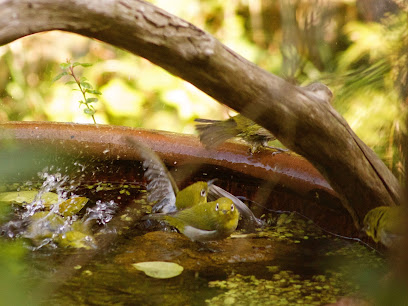 いきぬきどころ/きんど