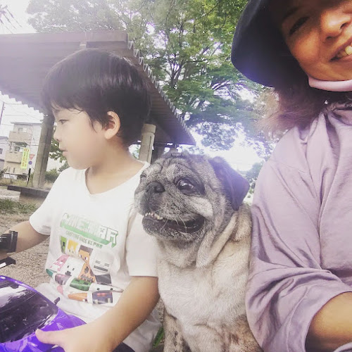 Comentarii opinii despre パグカフェ LivingRoom 京都