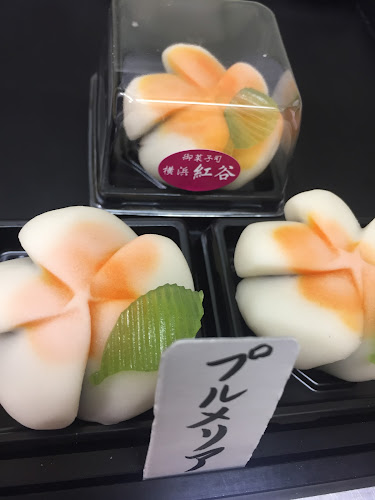 〒236-0051 神奈川県横浜市金沢区富岡東６丁目１−７