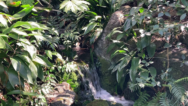 浮月楼 レストラン