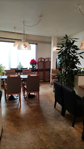 Opinii despre 豆の樹 în 富士吉田市 - 飲食業