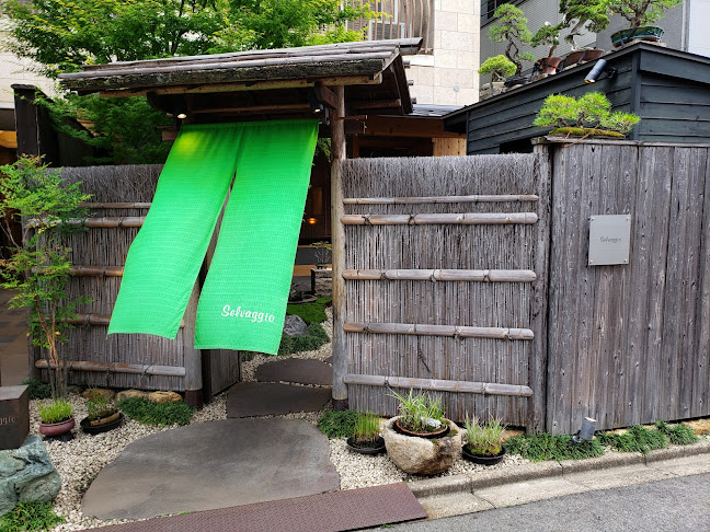 Comentarii opinii despre セルヴァッジョ