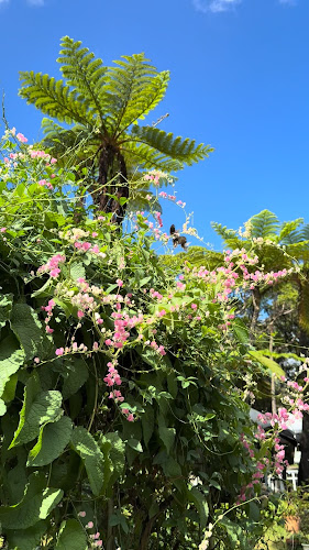 中山コーヒー園 Nakayama Coffee Farm - 名護市