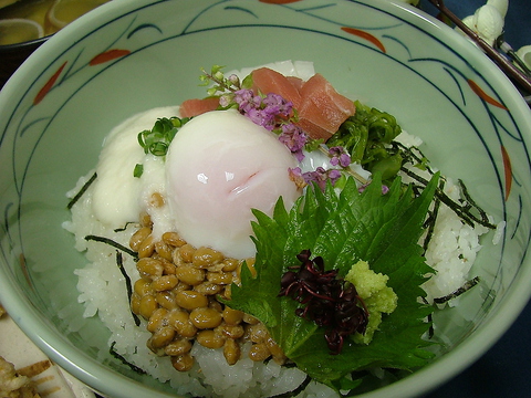 Comentarii opinii despre 洋食酒場 ジンジャー＆旬菜・しゃぶ処 和亭美菜