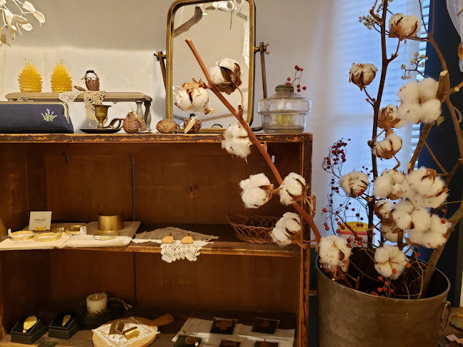 time cafe ドッグカフェ - さいたま市