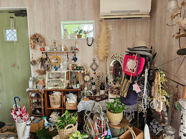 Comentarii opinii despre cafe de noel