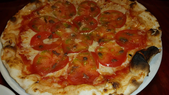 Comentarii opinii despre モンドール