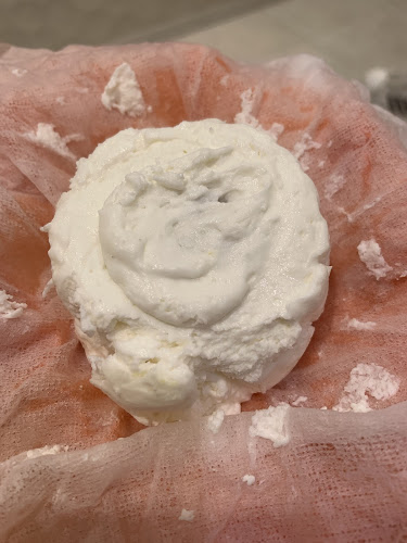 〒790-0842 愛媛県松山市道後湯之町１２−２９