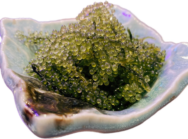 〒230-0051 神奈川県横浜市鶴見区鶴見中央４丁目２０−２ 田毎 ビル 1F