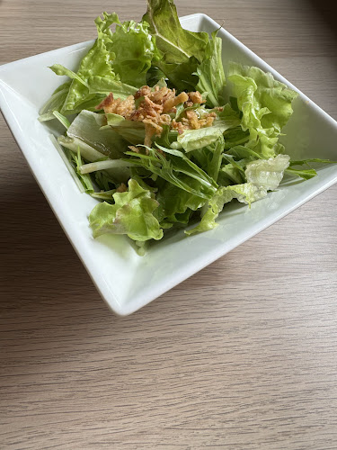 Comentarii opinii despre フラテリス