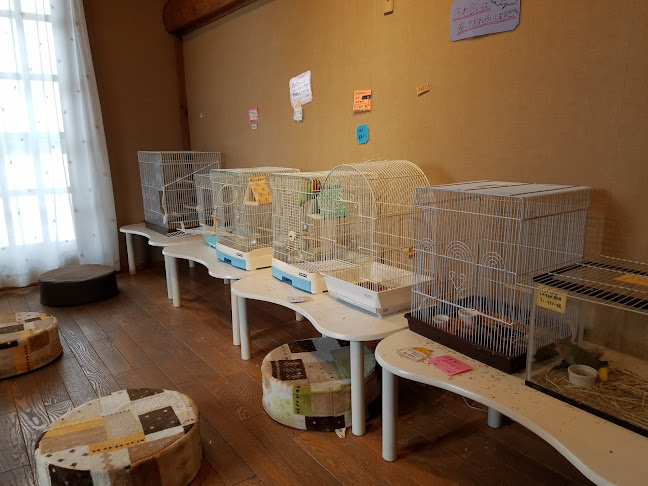 エキゾチックアニマルカフェRicky秋田店 猫カフェ+ - 飲食業