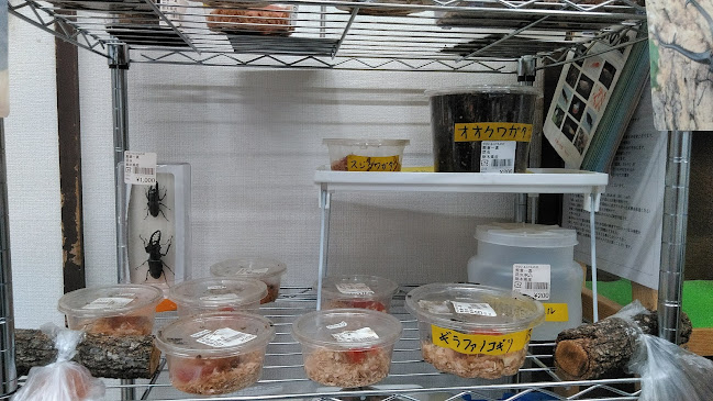 やさい＆くだもの村 金井台店 - 飲食業