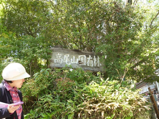 Comentarii opinii despre 樹立ち