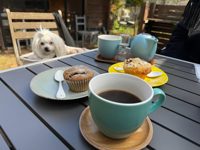 Comentarii opinii despre cafe279