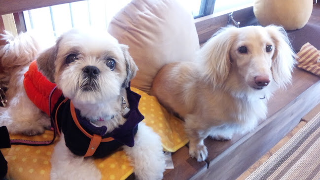 〒275-0001 千葉県習志野市東習志野６丁目３−５