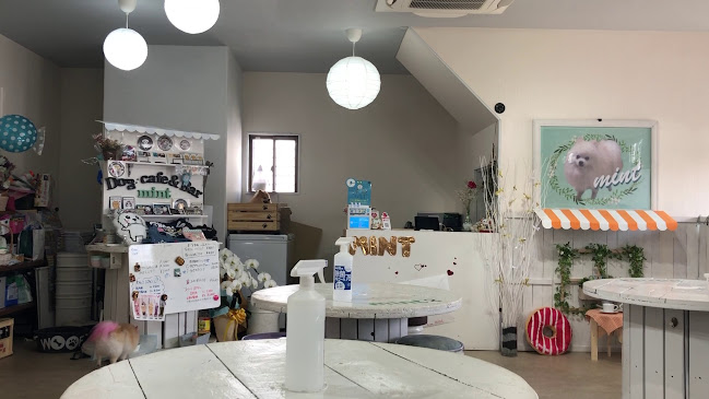 Dog 🐾café & Bar mint(ドッグカフェミント)