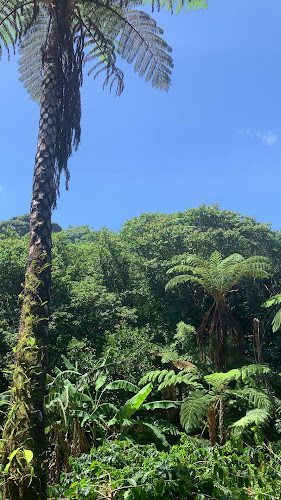 中山コーヒー園 Nakayama Coffee Farm - 飲食業