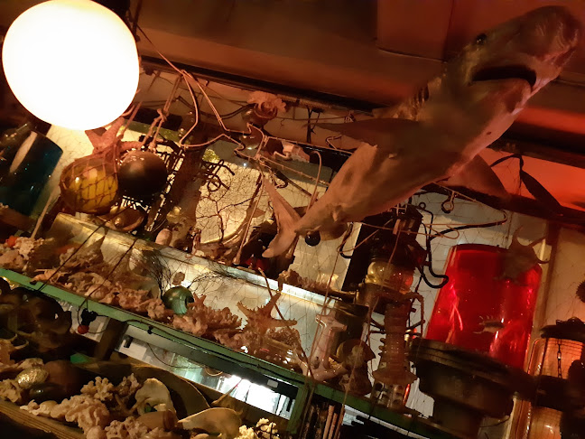 Comentarii opinii despre シェルハウス(海底バー)