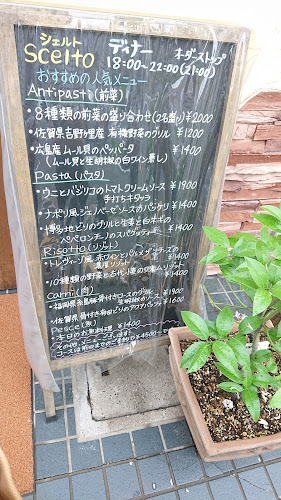 scelto(シェルト)