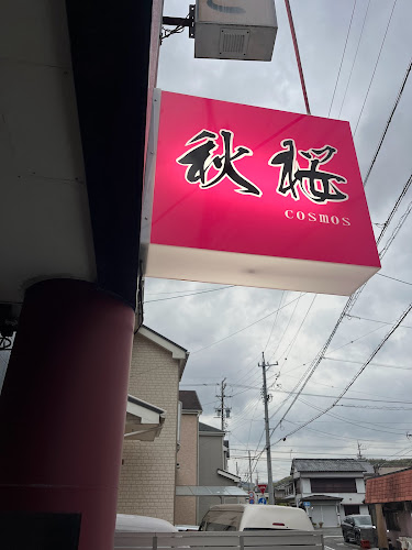 秋桜cosmos - 藤枝市