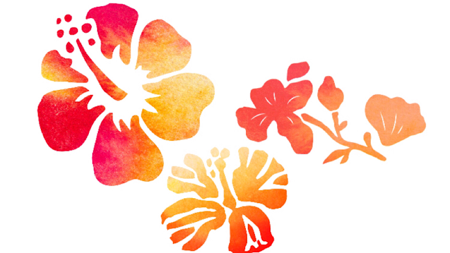 波音と島酒-シマサカバ気向-kinomuqu - 飲食業