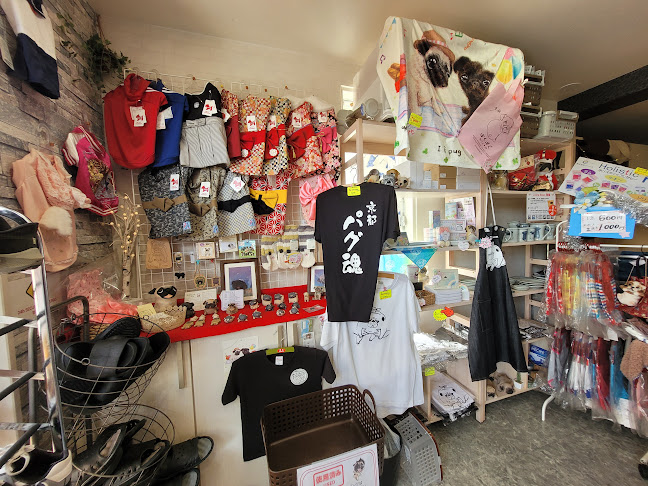 パグカフェ LivingRoom 京都 - 飲食業