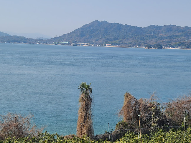 Opinii despre こむらさき în 今治市 - 飲食業