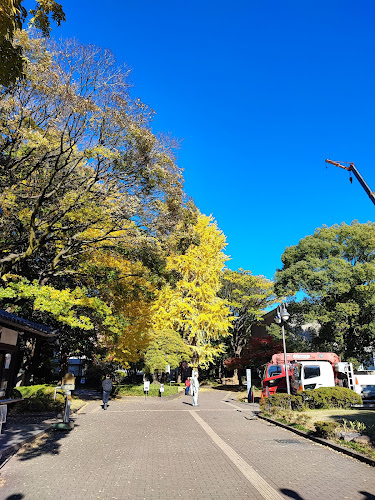 上島珈琲店 黒田記念館店 - 台東区