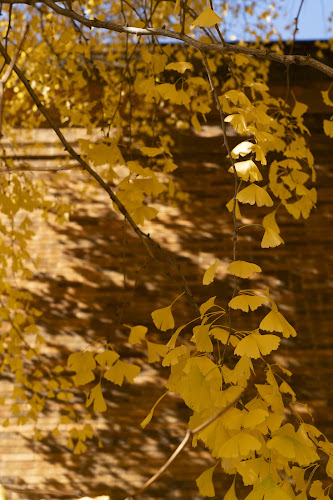 上島珈琲店 黒田記念館店
