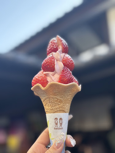 〒860-0008 熊本県熊本市中央区二の丸１−１−２