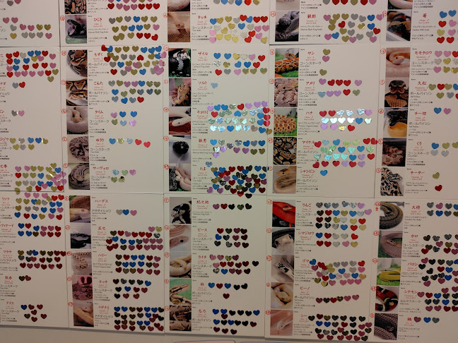 - Cafe & Snake - 東京スネークセンター - 飲食業