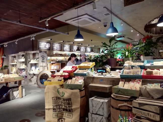 〒182-0004 東京都調布市入間町１丁目41−１