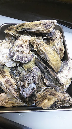 癒食酒房たかはし - 飲食業