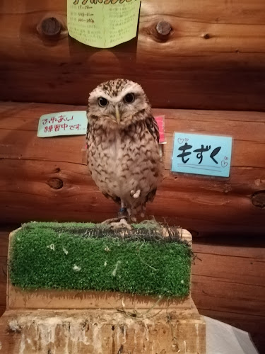 Opinii despre エキゾチックアニマルカフェRicky秋田店 猫カフェ+ în 秋田市 - 飲食業