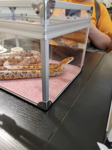 〒150-0001 東京都渋谷区神宮前６丁目５−６ サンポウ綜合ビル 8F