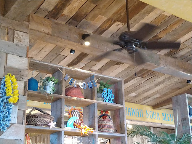 コナズ珈琲幕張 - 飲食業