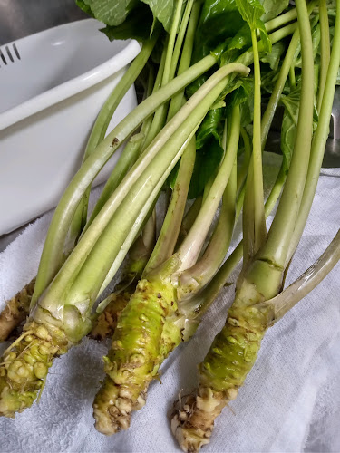 Comentarii opinii despre そば屋 三笊（さんざる）