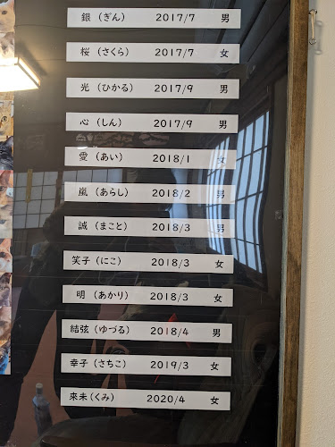 Opinii despre 猫カフェいかろす CAT CAFE IKARUS în 忠岡町 - 飲食業