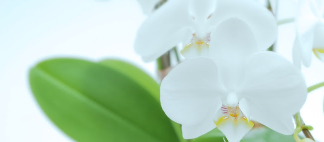 スナックのん - 岡山市