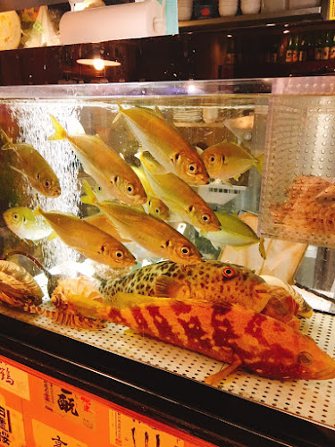 Comentarii opinii despre 幸多 -こうた-