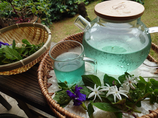 Comentarii opinii despre 中山コーヒー園 Nakayama Coffee Farm