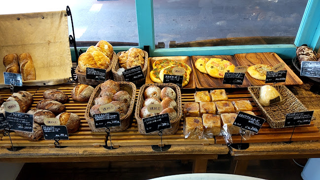 Comentarii opinii despre Panfeel SHUN