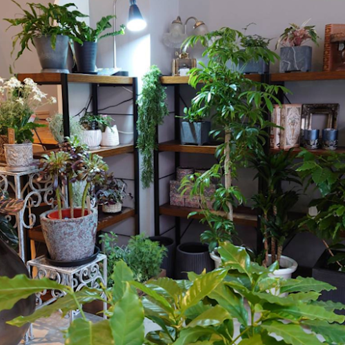 Cafe BANVINA 木花咲耶珈琲 - 鹿児島市