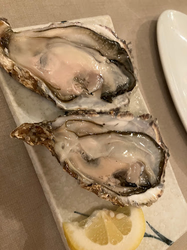 Comentarii opinii despre ネプチューン