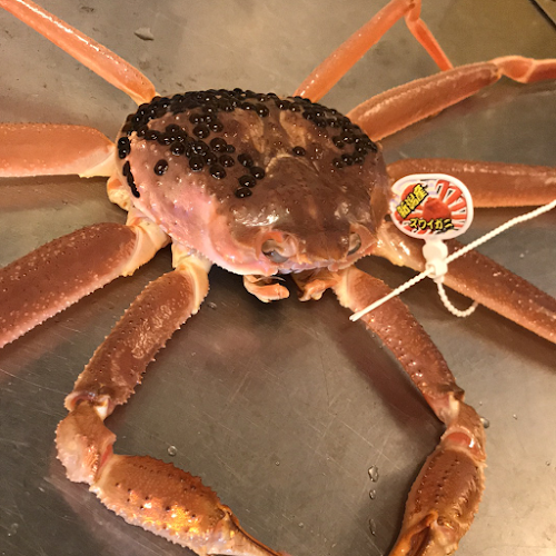 〒591-8032 大阪府堺市北区百舌鳥梅町３丁2−９ ラヴィータ中百舌鳥 1F