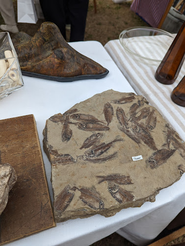 Comentarii opinii despre 蚤之市