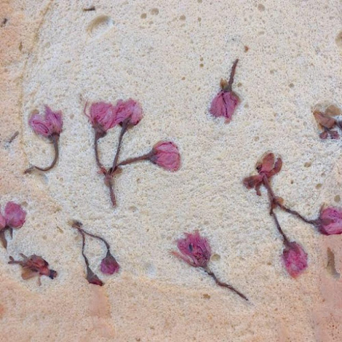 Comentarii opinii despre cafe Lemon.