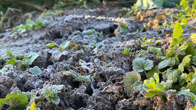 モアスープ - 飲食業