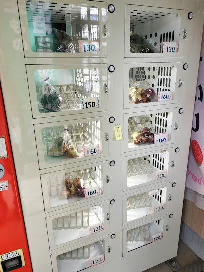 無人野菜販売店