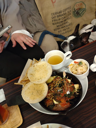 Opinii despre モゼクソール în 八王子市 - 飲食業